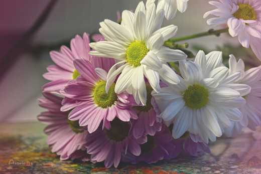 1756694 (a): :2048x1365